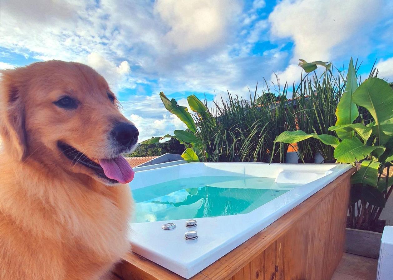 Vila Pitangueira - Apto Laranja - No Centro De Serra Grande Com Piscina, Jacuzzi, Internet Veloz Exterior foto